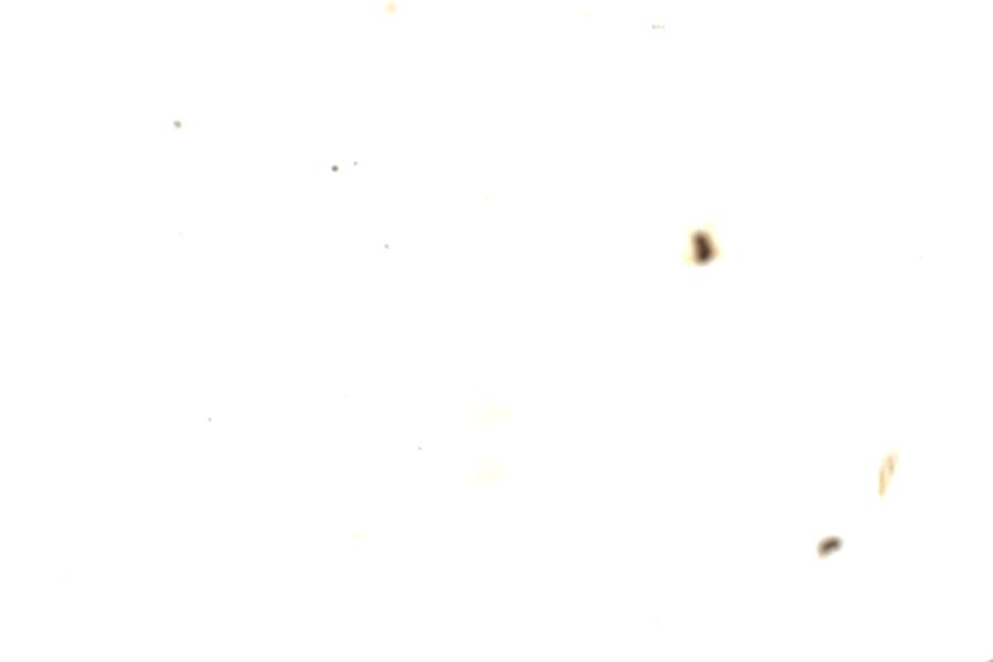 Image 209